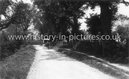 Heydon Lane, Chrishall, Essex. c.1922